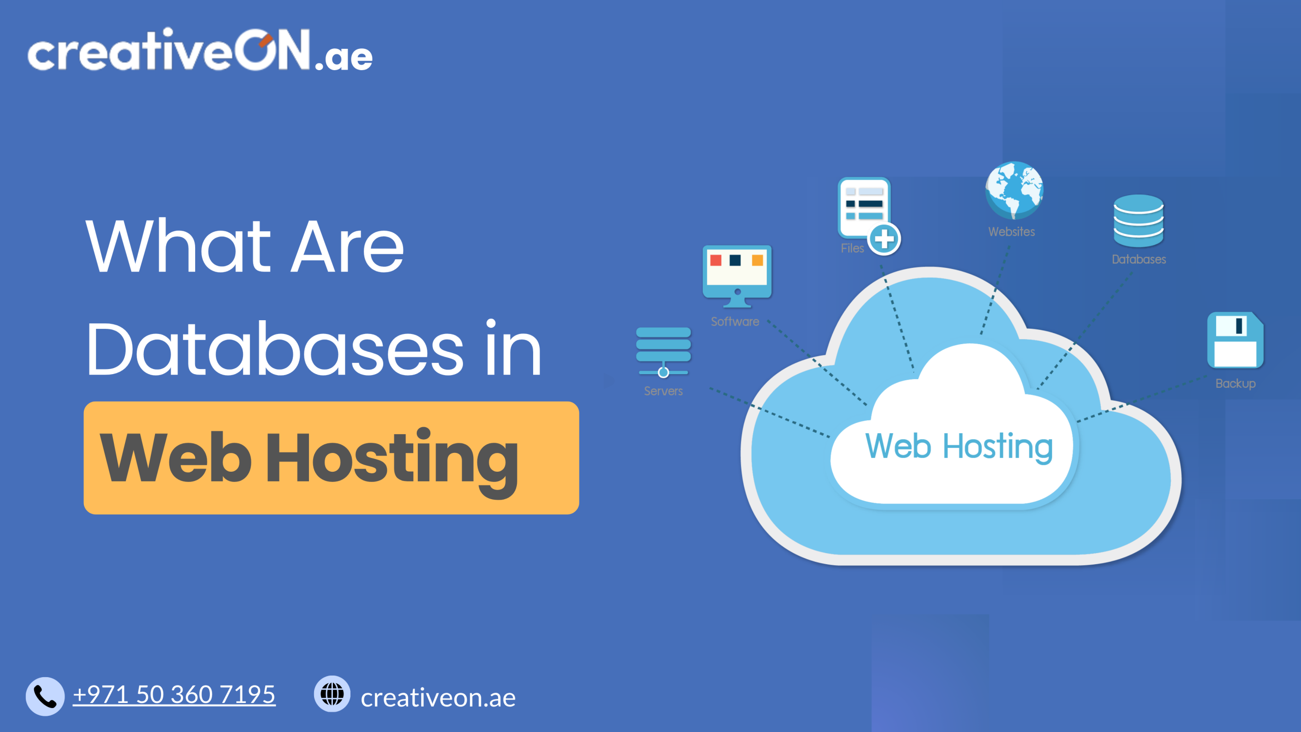 What Are Databases in Web Hosting